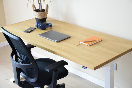 Nueva Colección Pino Essential