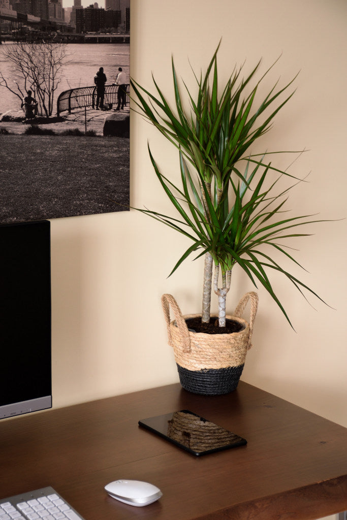 Mesa Madera Natural - Pino Ibero - Frame Deco Beauty