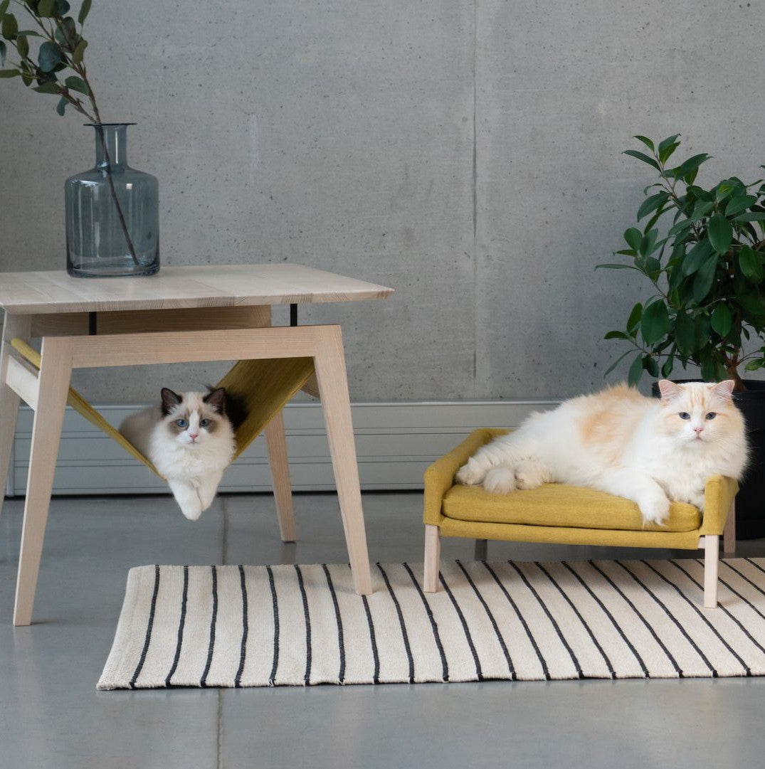 Gato en la hamaca de la mesa Kikko de fresno junto a la cama Lulu
