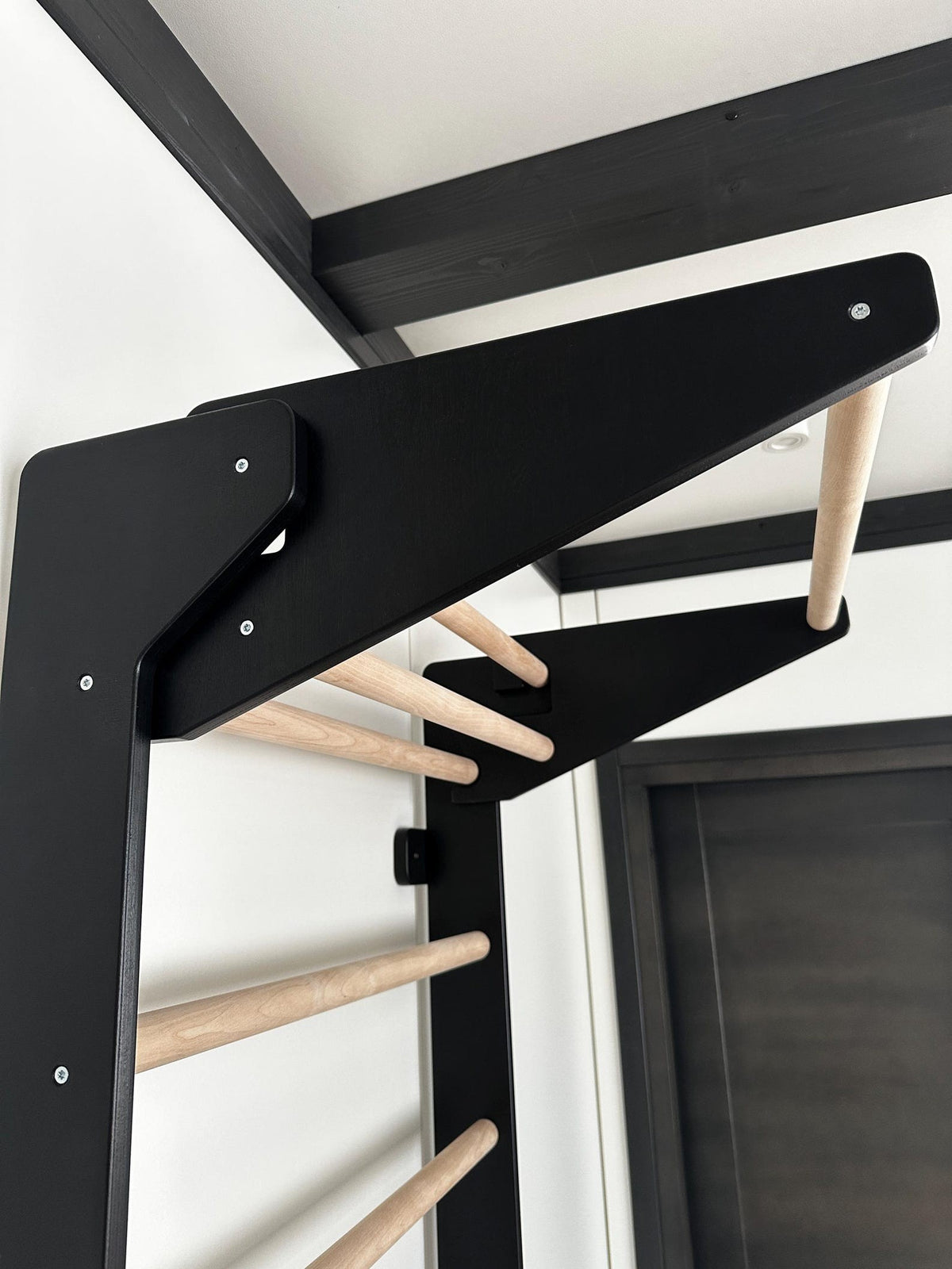 Swedish Ladder with Pull-Up Bar and Dips Bar