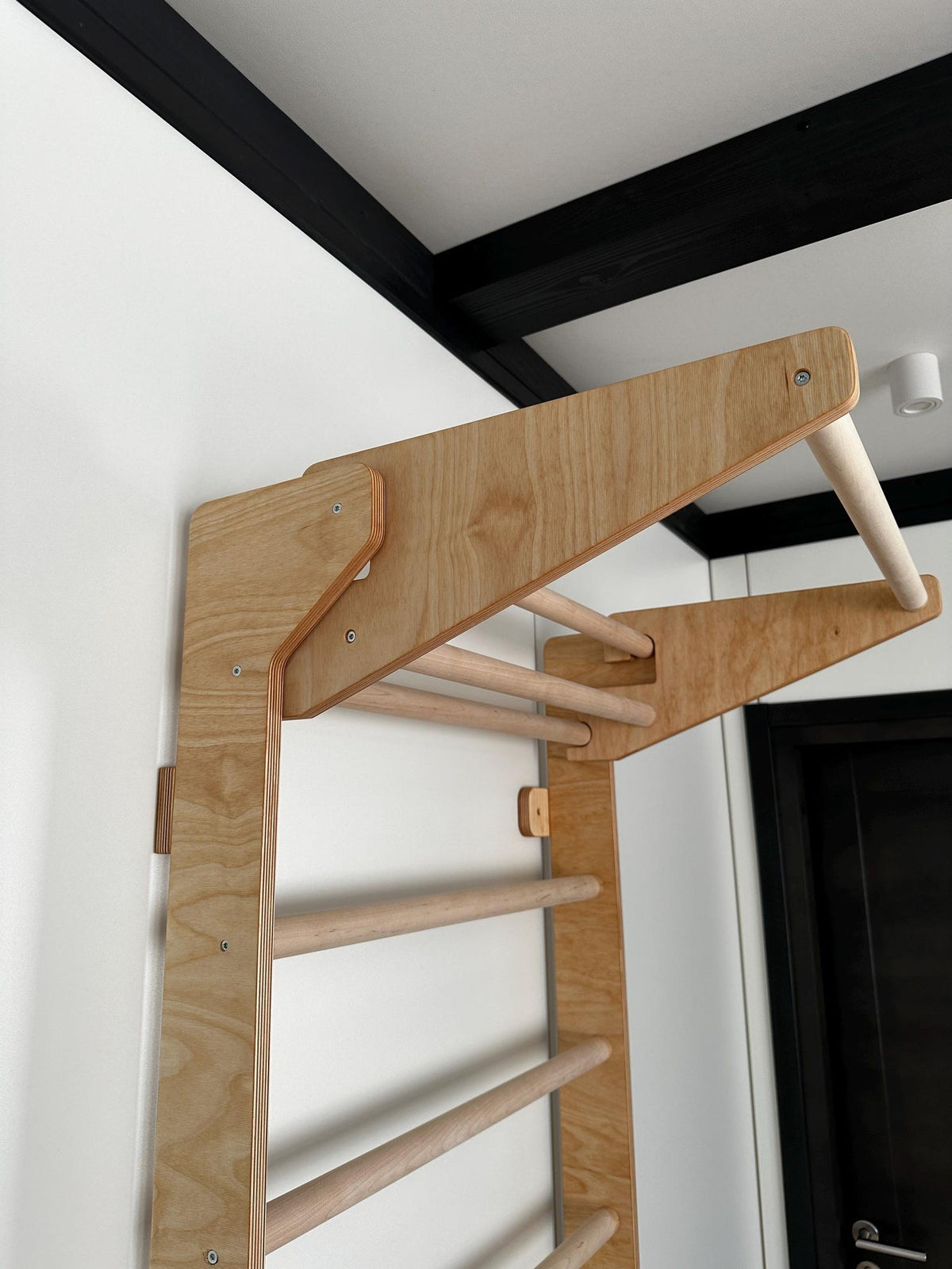 Swedish Ladder with Pull-Up Bar and Dips Bar